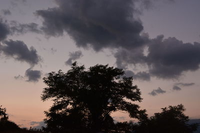 Silhouette of trees against cloudy sky