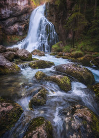 Scenic view of waterfall in forest