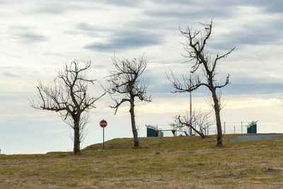 Bare trees on field against sky