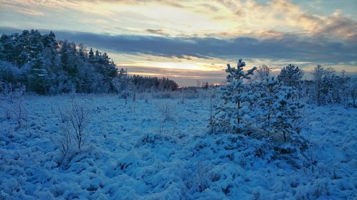 Scenic view of snow covered landscape