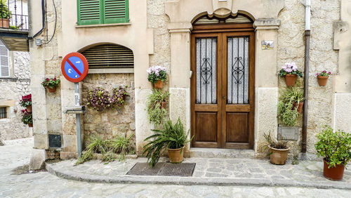 Potted plants outside building