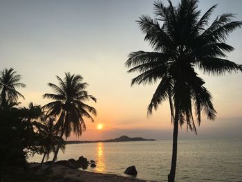 Silhouette palm trees by swimming pool against sky during sunset