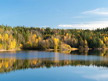 Scenic view of lake by trees against sky