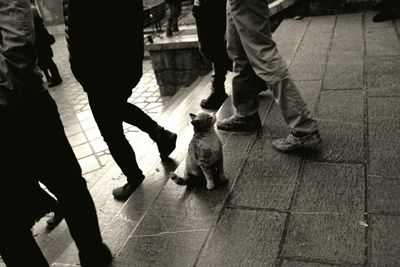 Low section of man with dog standing on floor