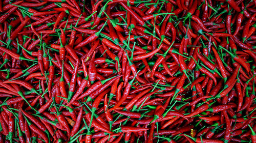 Full frame shot of red chili peppers