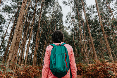 Rear view of man looking at forest