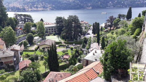 High angle view of townscape and trees in town