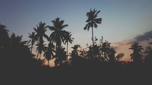 Low angle view of silhouette palm trees against sky at sunset