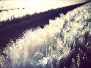 Close-up of frozen water