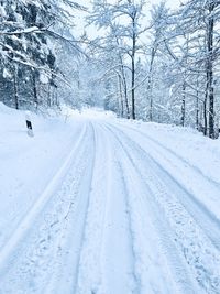 Snow covered field