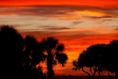 Silhouette trees against dramatic sky during sunset