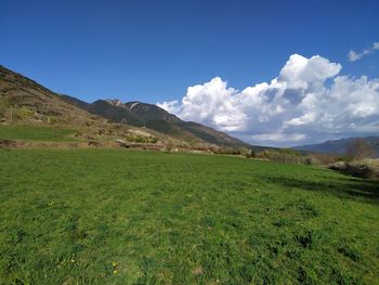 Scenic view of landscape against sky