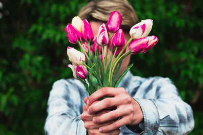 Close-up of person holding pink flowering plant