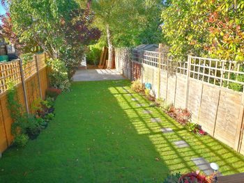 High angle view of footpath amidst plants in field