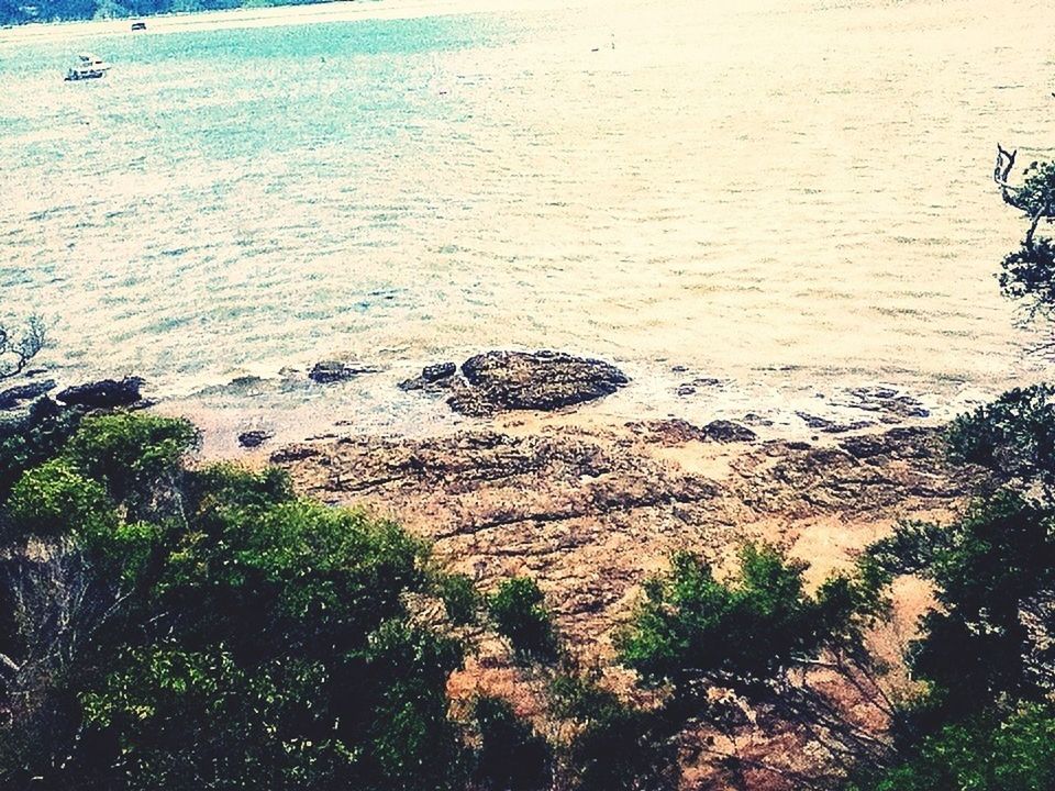 water, beach, sea, sand, high angle view, tranquility, shore, tranquil scene, nature, beauty in nature, scenics, plant, tree, growth, day, outdoors, idyllic, coastline, sunlight, non-urban scene