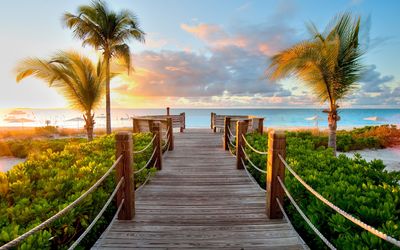 Scenic view of palm trees at beach against sky