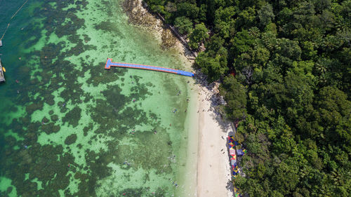 High angle view of trees at beach