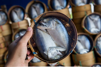 Cropped hand carrying raw seafood in container