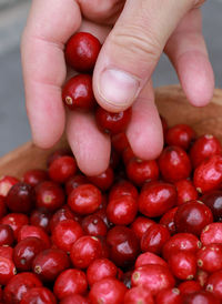 Cropped hand of woman holding tomatoes