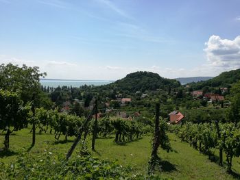 Scenic view of landscape against cloudy sky