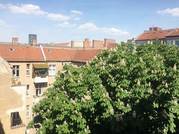 Trees and houses against sky