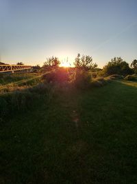 Scenic view of grassy field against sky