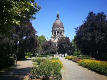 View of plants in front of building