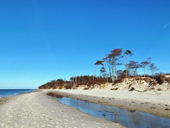 Scenic view of beach against clear blue sky