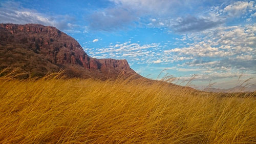 Scenic view of landscape against sky