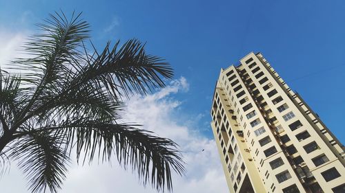 Low angle view of palm trees against clear blue sky