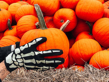 Close-up of cropped hands holding pumpkin