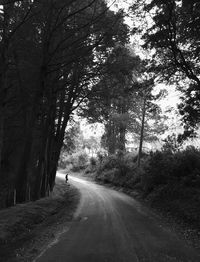 Rear view of man on road in forest