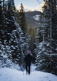 Rear view of person walking on snow covered land