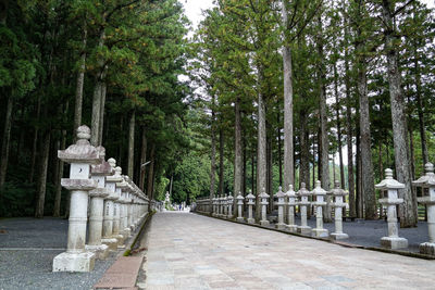 Footpath amidst trees in park