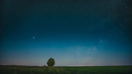 Low angle view of trees against sky at night