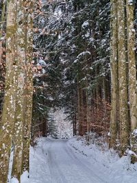 Scenic view of waterfall