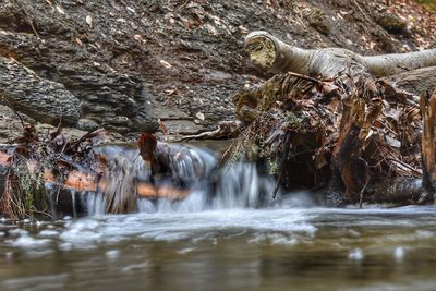 View of waterfall in forest