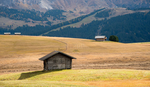 Landscape with  meadow field and wooden cabins at the alpe di siusi at the dolomite  in italy
