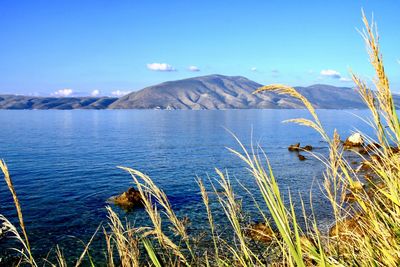 Scenic view of bay against blue sky