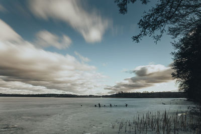 Scenic view of field against sky during winter