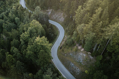 High angle view of road amidst trees in forest