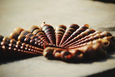 Close-up of seashells on surface