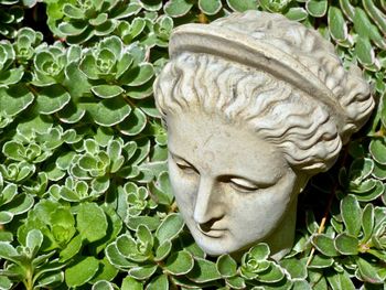 Close-up of statue against plants