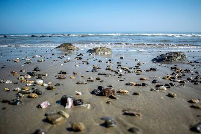 Rocks on beach against sky