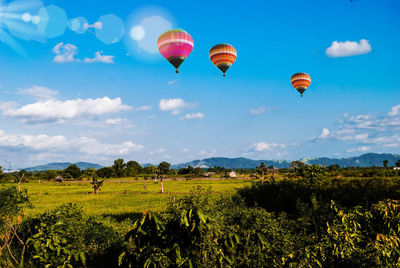 Hot air balloons flying over field