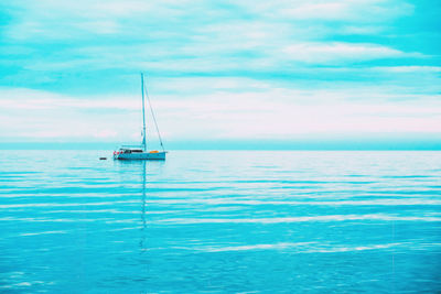 Sailboat sailing in sea against sky