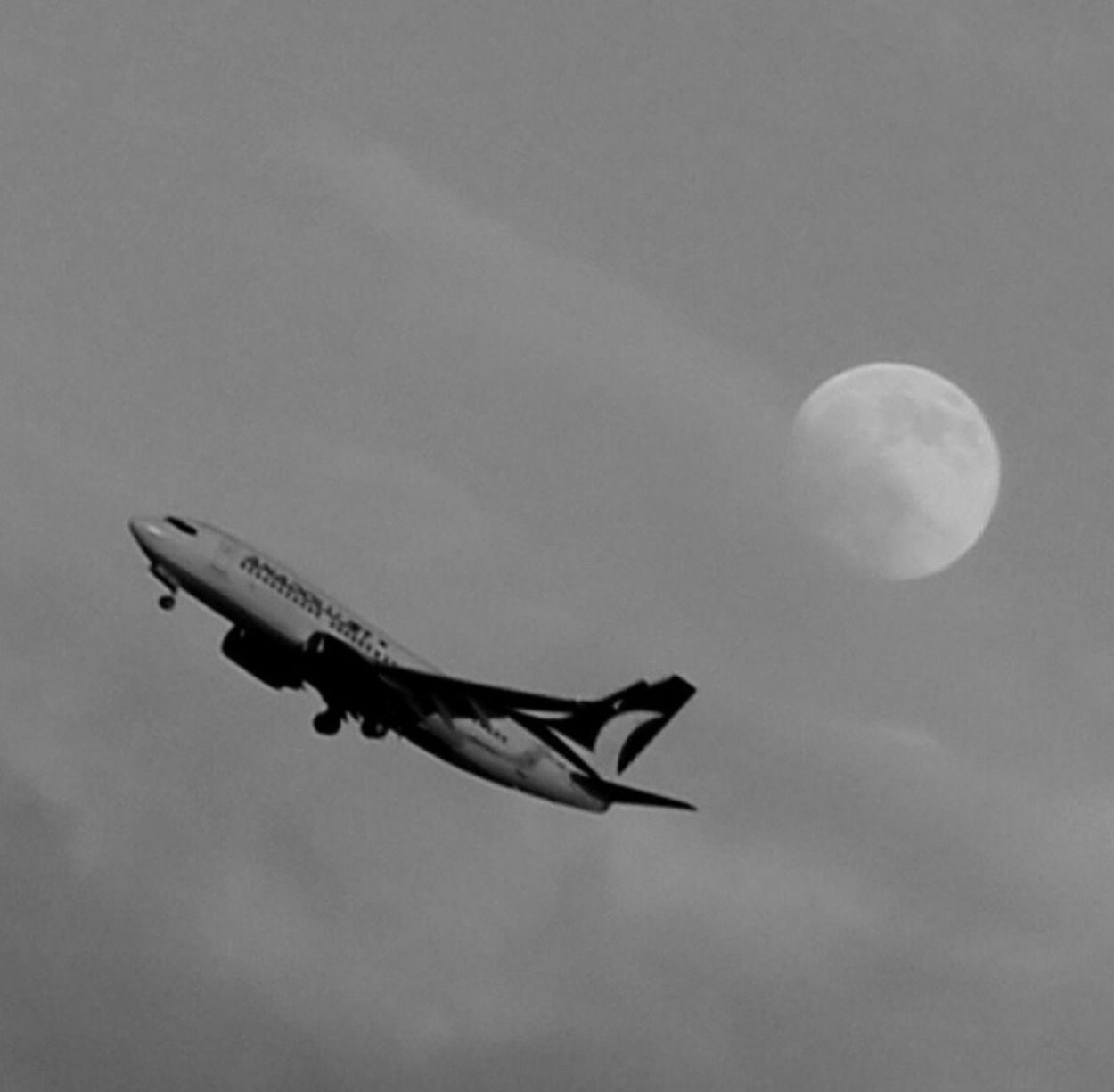 flying, mid-air, low angle view, sky, airplane, air vehicle, transportation, mode of transport, cloud - sky, on the move, spread wings, nature, outdoors, motion, day, no people, bird, cloud, animal themes, cloudy