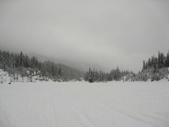 Trees on snow covered landscape against sky