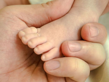 Close-up of baby holding hands