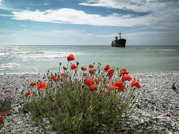 Scenic view of sea against sky